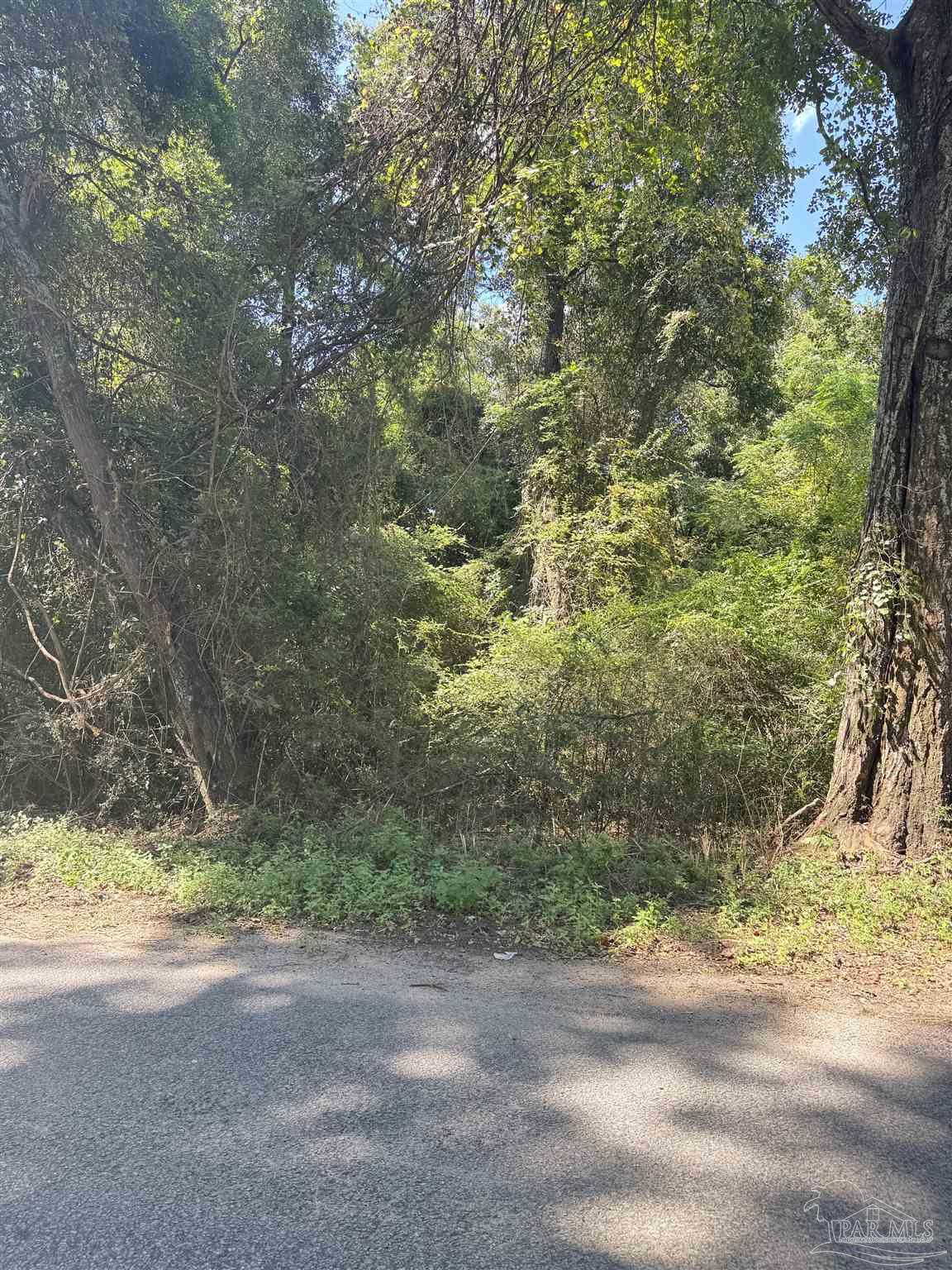 a view of a yard with a tree