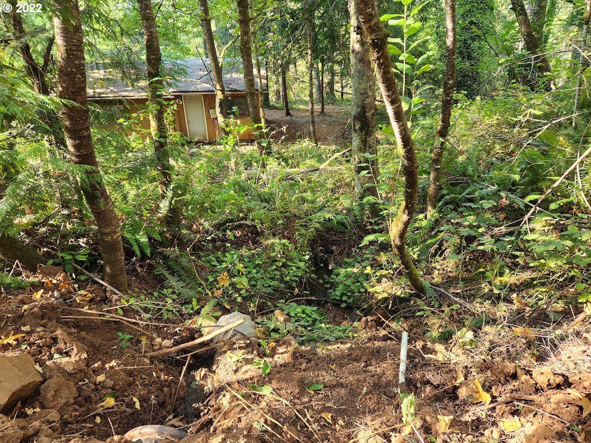 34695 Highway 224 Estacada, OR 97023 - Photo 4 of 10 a view of a large yard with plants and large trees