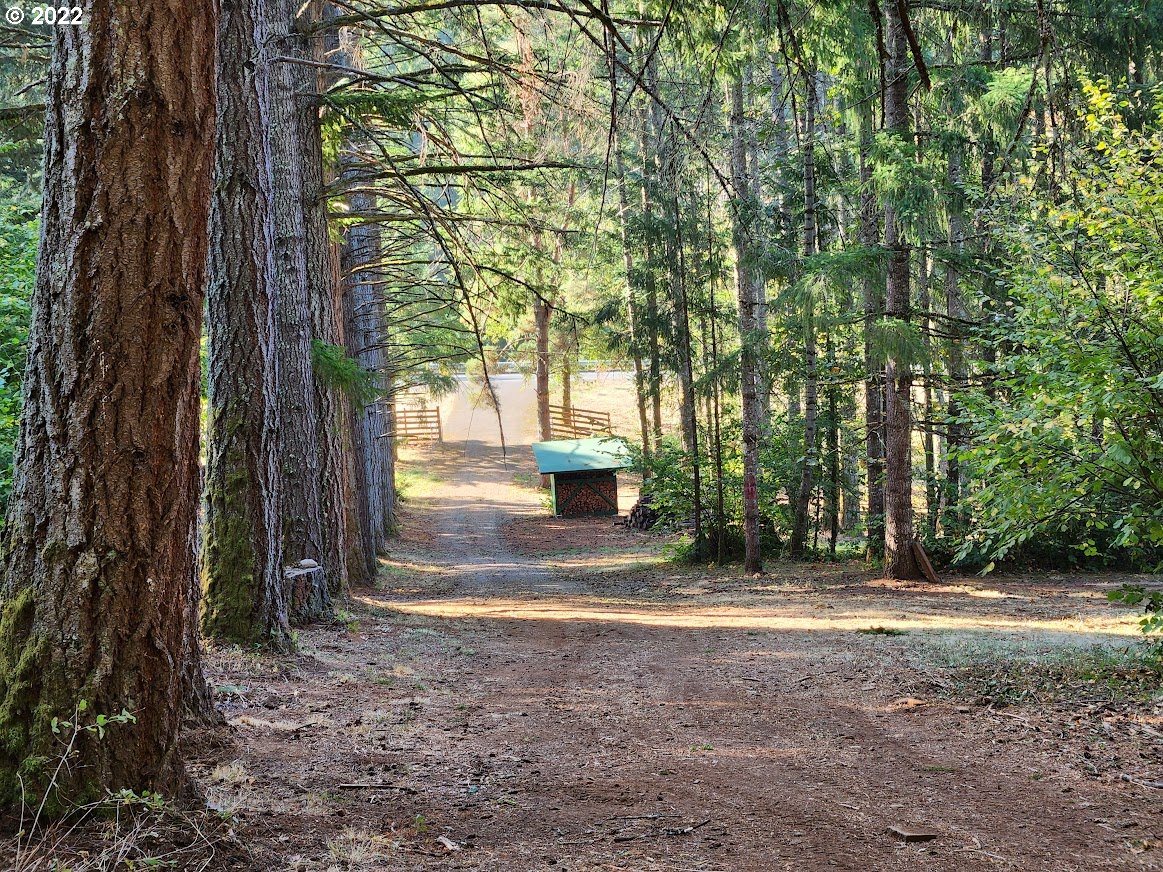 34695 Highway 224 Estacada, OR 97023 - Photo 8 of 10 a view of a yard with plants and large trees