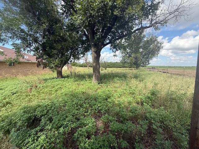 909 Railroad Street Rochester, TX 79544 - Photo 16 of 19 a backyard of a house with lots of green space