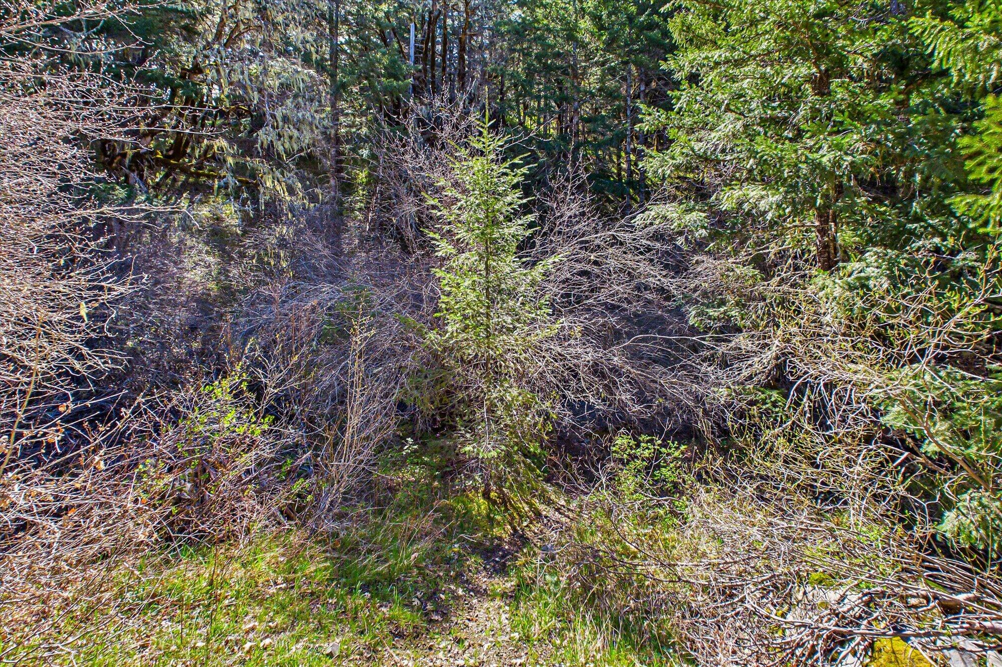 1960 Burr Valley Road Bridgeville, CA 95526 - Photo 47 of 63
