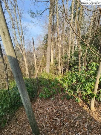 $35,000 | Ridge Road, Banner Elk, NC 28604