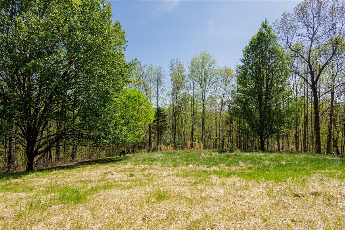 101 Lookout Ridge Road Blue Ridge, VA 24064 - Photo 21 of 35 Woodsy Feeling