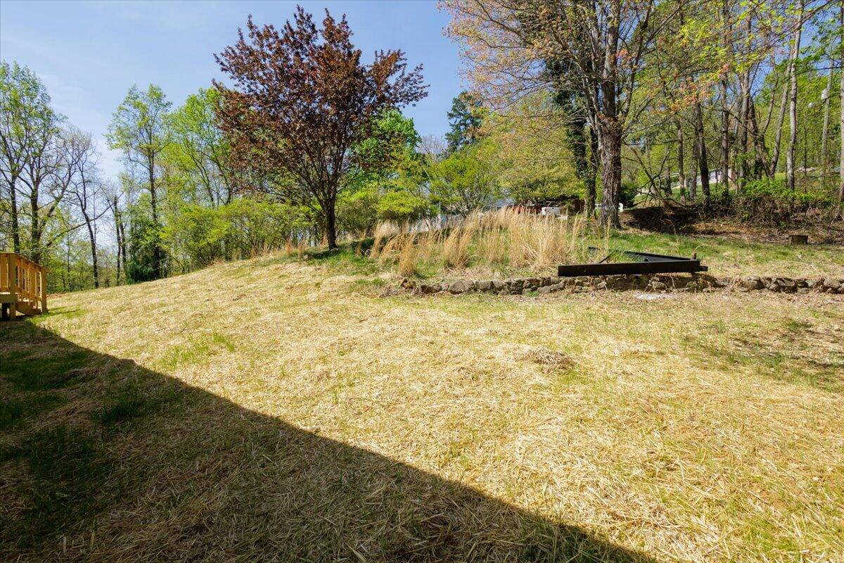 101 Lookout Ridge Road Blue Ridge, VA 24064 - Photo 4 of 35 Sitting on just shy of 3 acres
