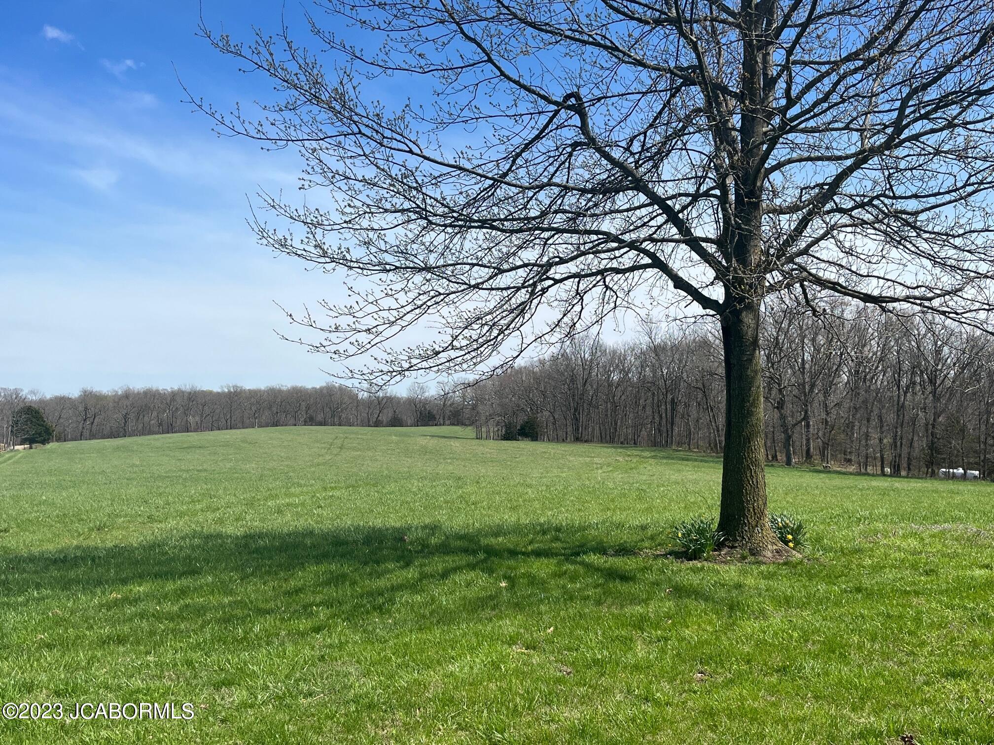 Tbd Murphy Ford Road Centertown, MO 65023 - Photo 2 of 7