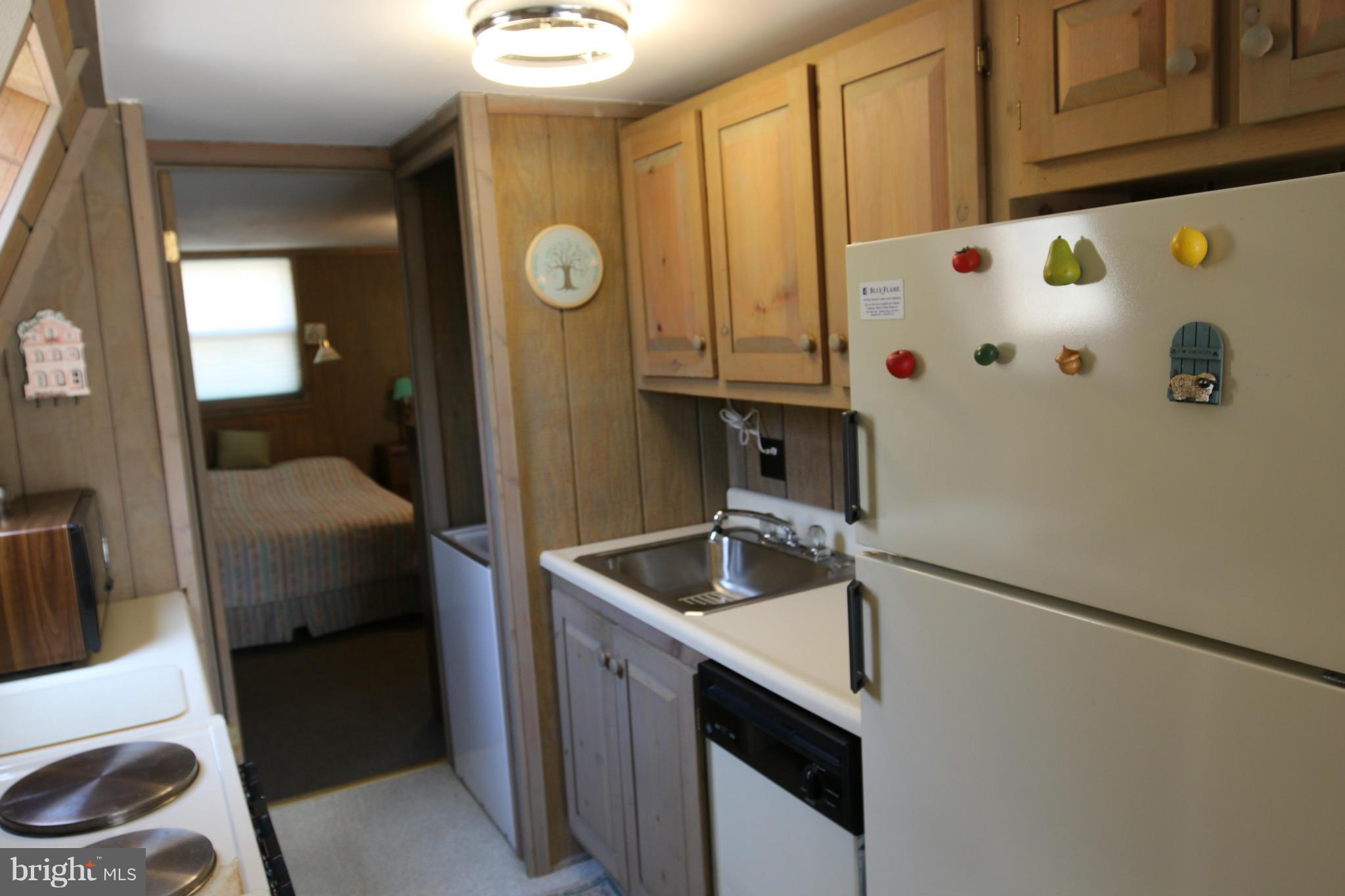 14 Rush Lane, Unit MORE Berkeley Springs, WV 25411 - Photo 3 of 23 Kitchen