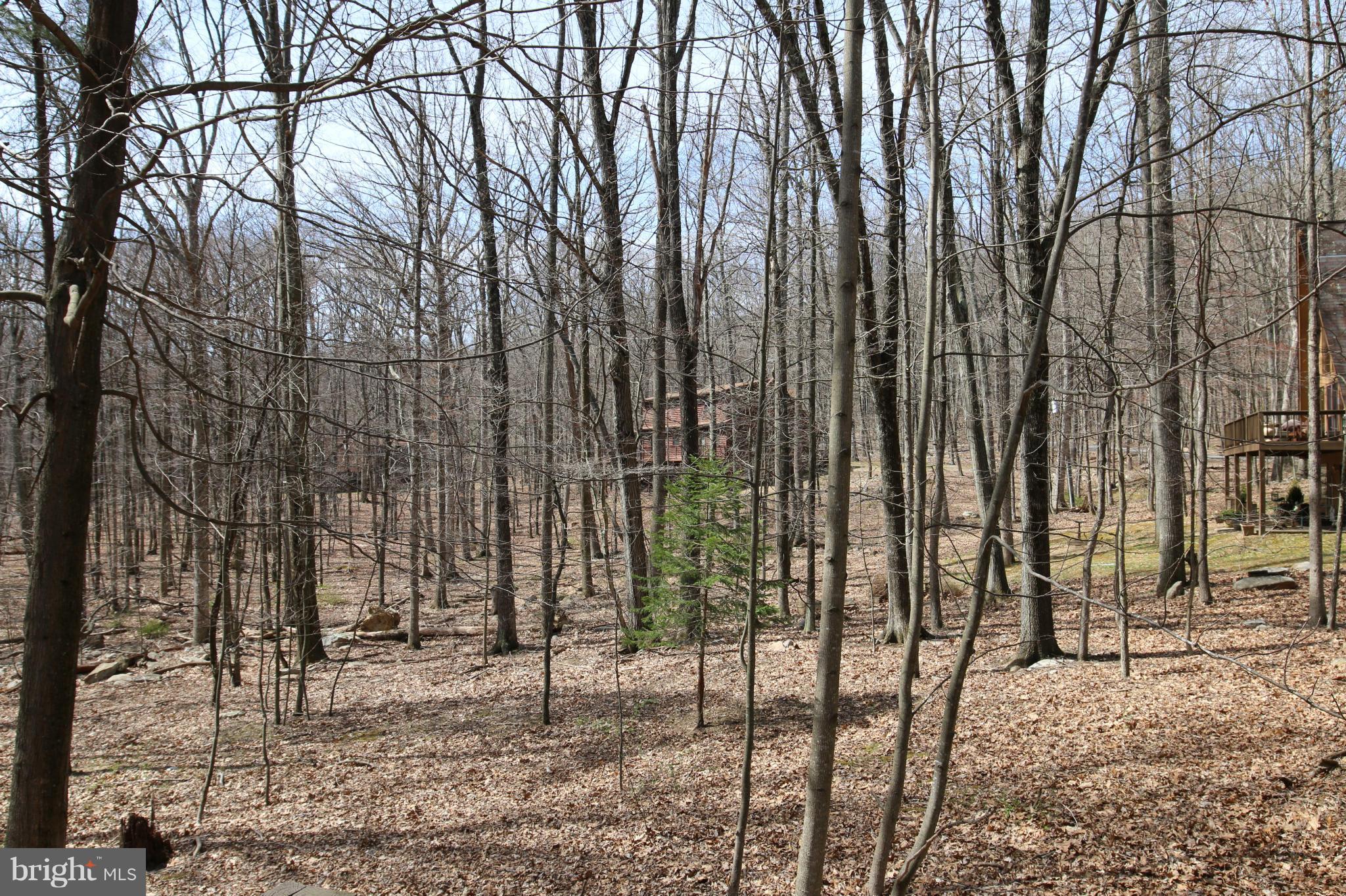 14 Rush Lane, Unit MORE Berkeley Springs, WV 25411 - Photo 22 of 23 Exterior (General)