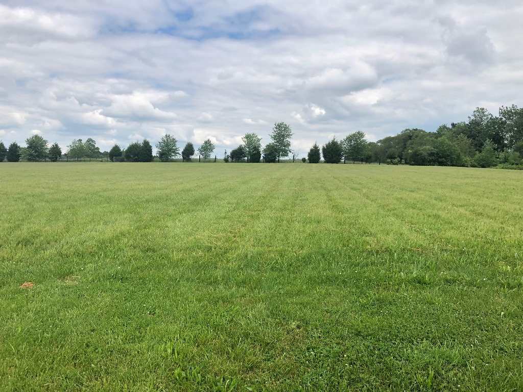 1930 Detour Road Bowling Green, KY 42101 - Photo 5 of 16 Gallery Image 5