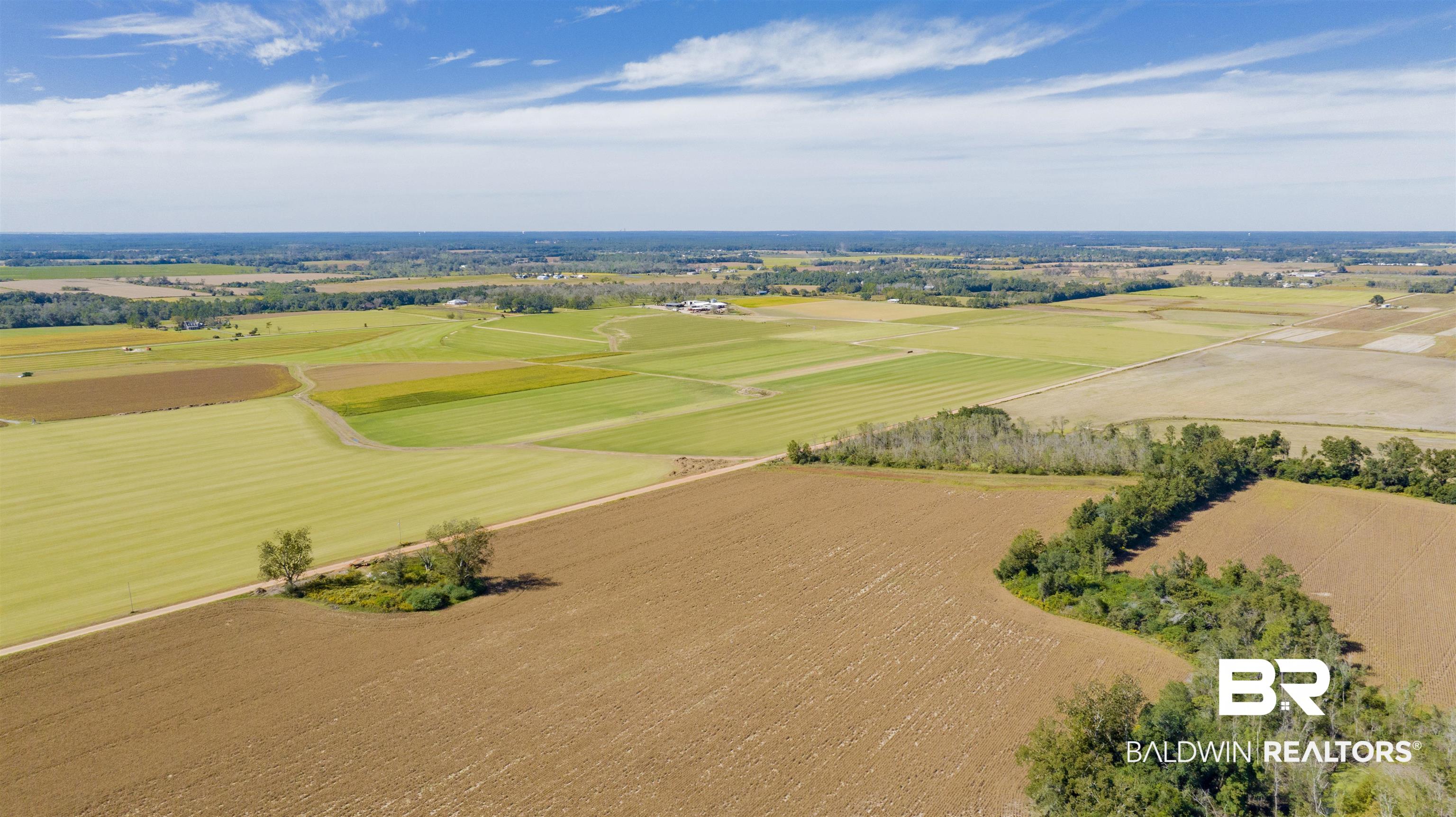 14758 County Road 65 Foley, AL 36535 - Photo 8 of 9