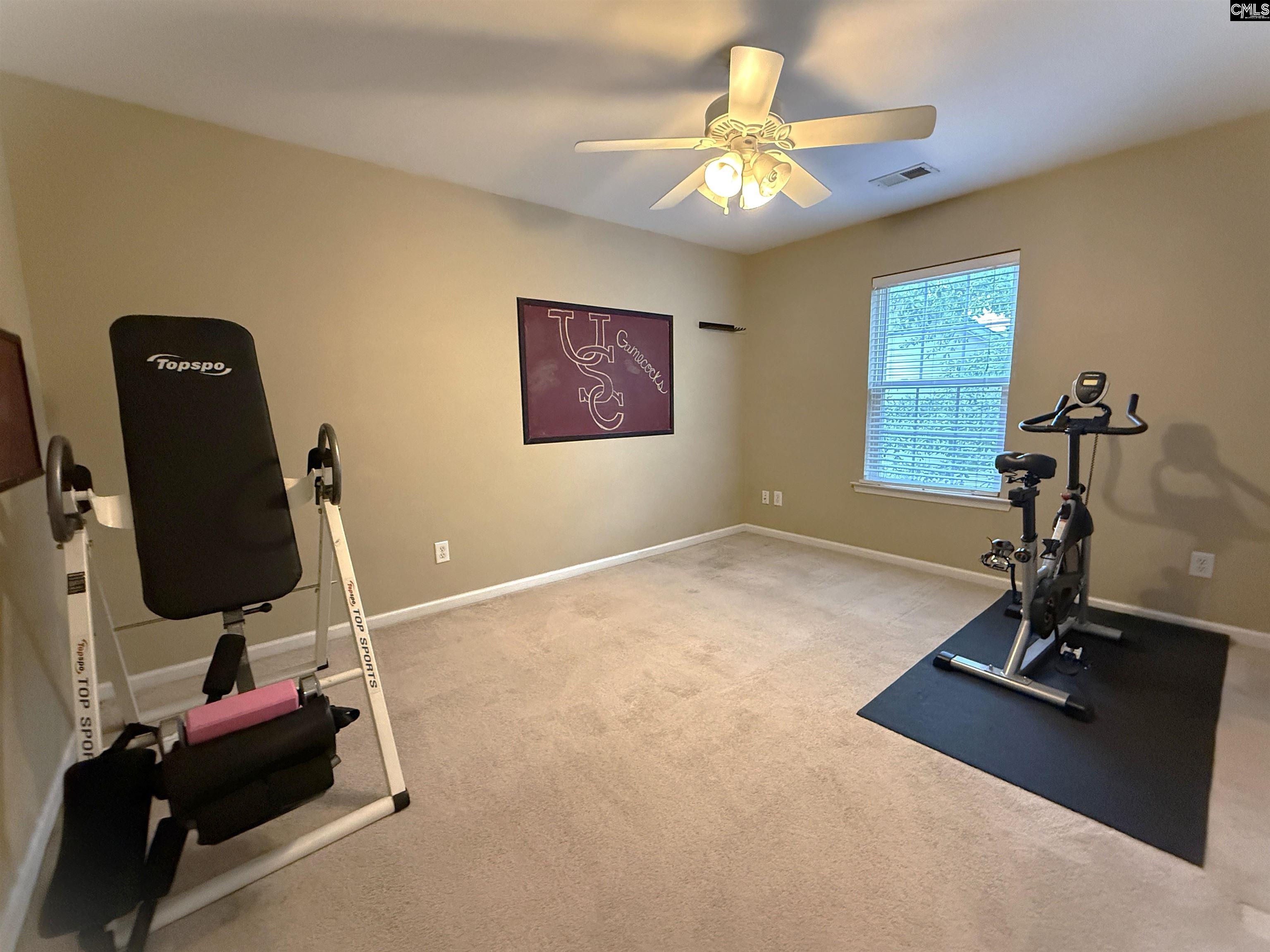 125 Millstone Lane Lexington, SC 29072 - Photo 24 of 36