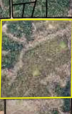 $1,173,000 | 3621 Fortune Hole Road East, Hamilton, GA 31811