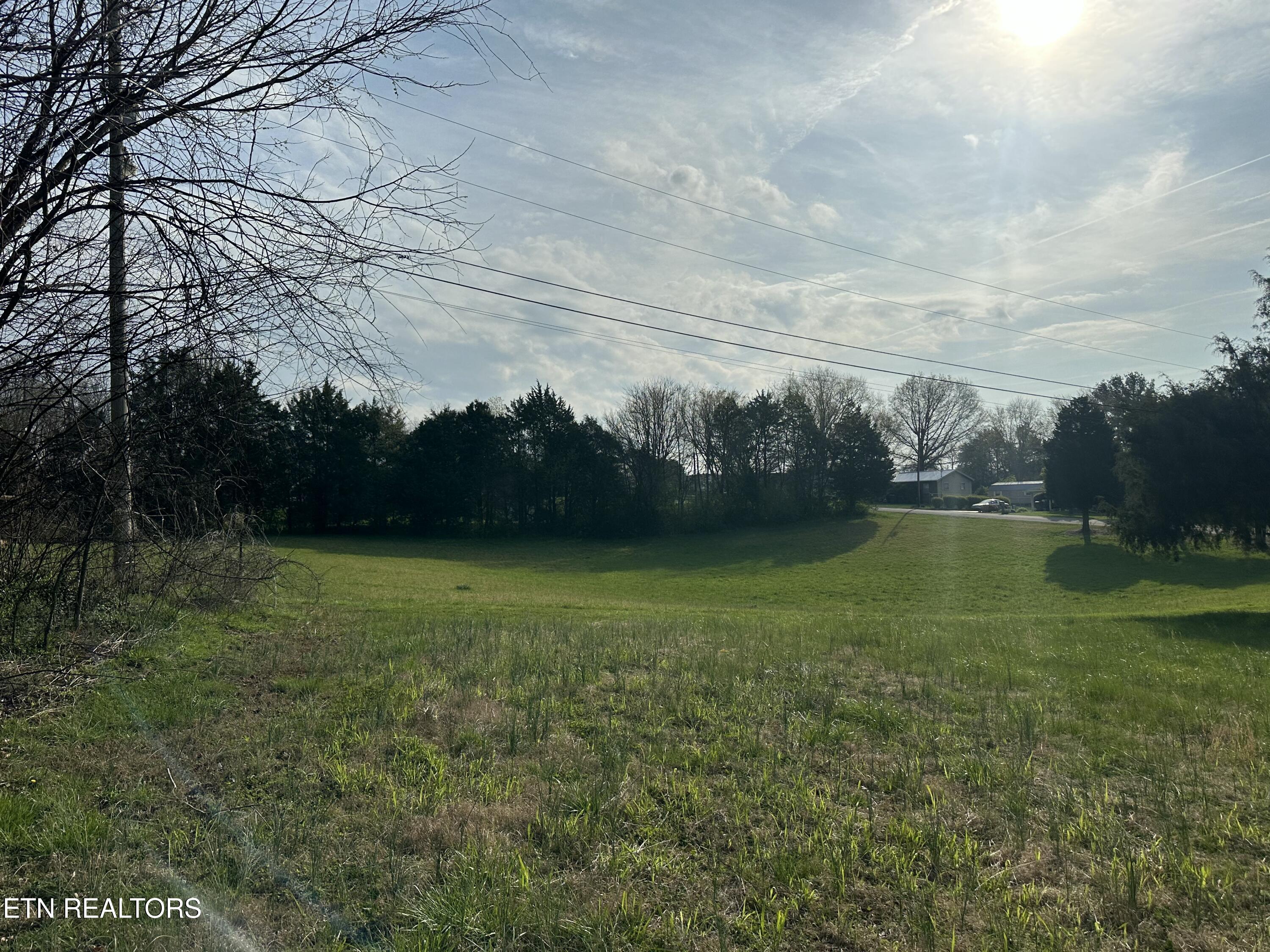 5752 Buell Street Talbott, TN 37877 - Photo 4 of 20 IMG_1845