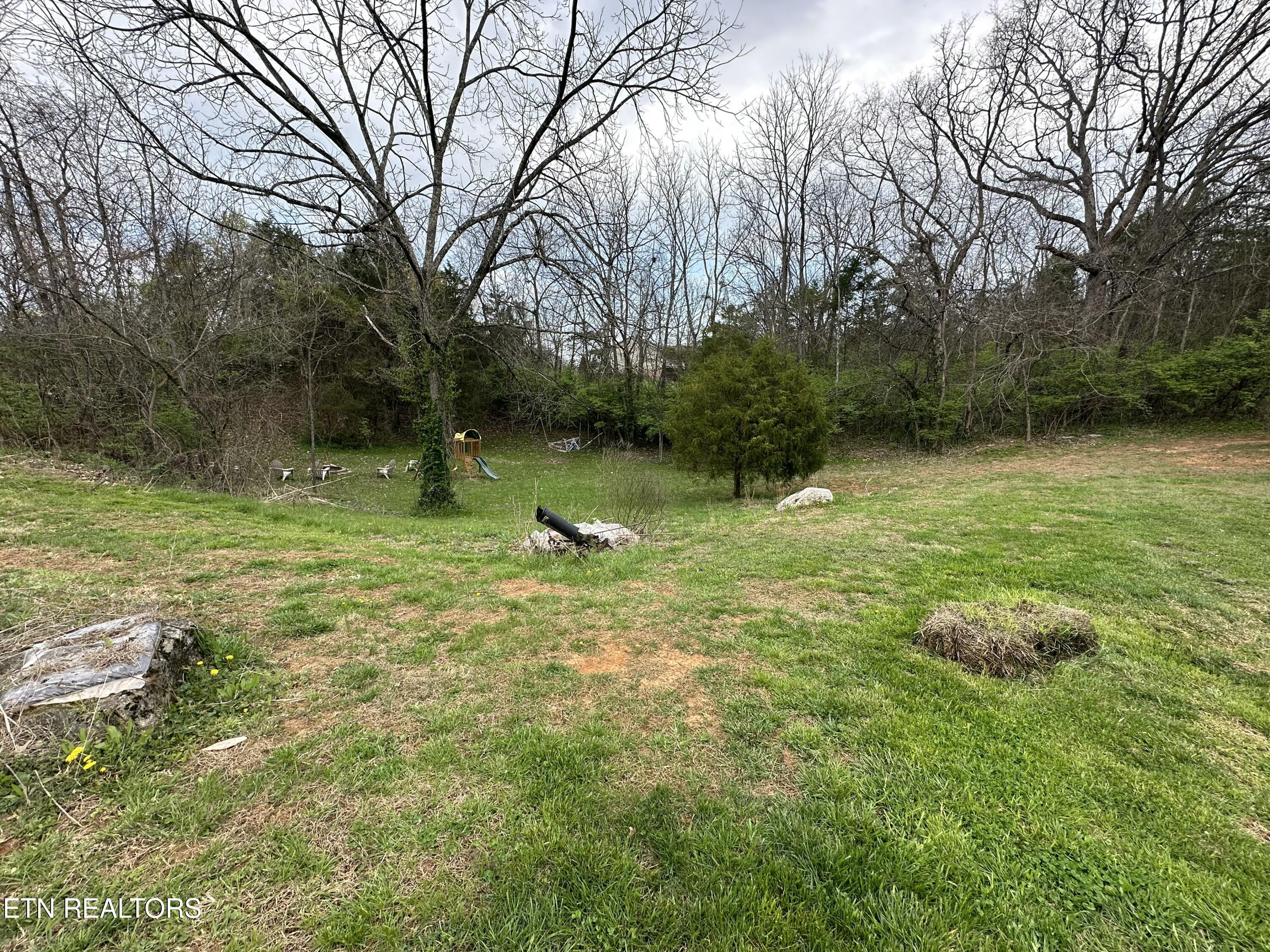 5752 Buell Street Talbott, TN 37877 - Photo 5 of 20 IMG_1862