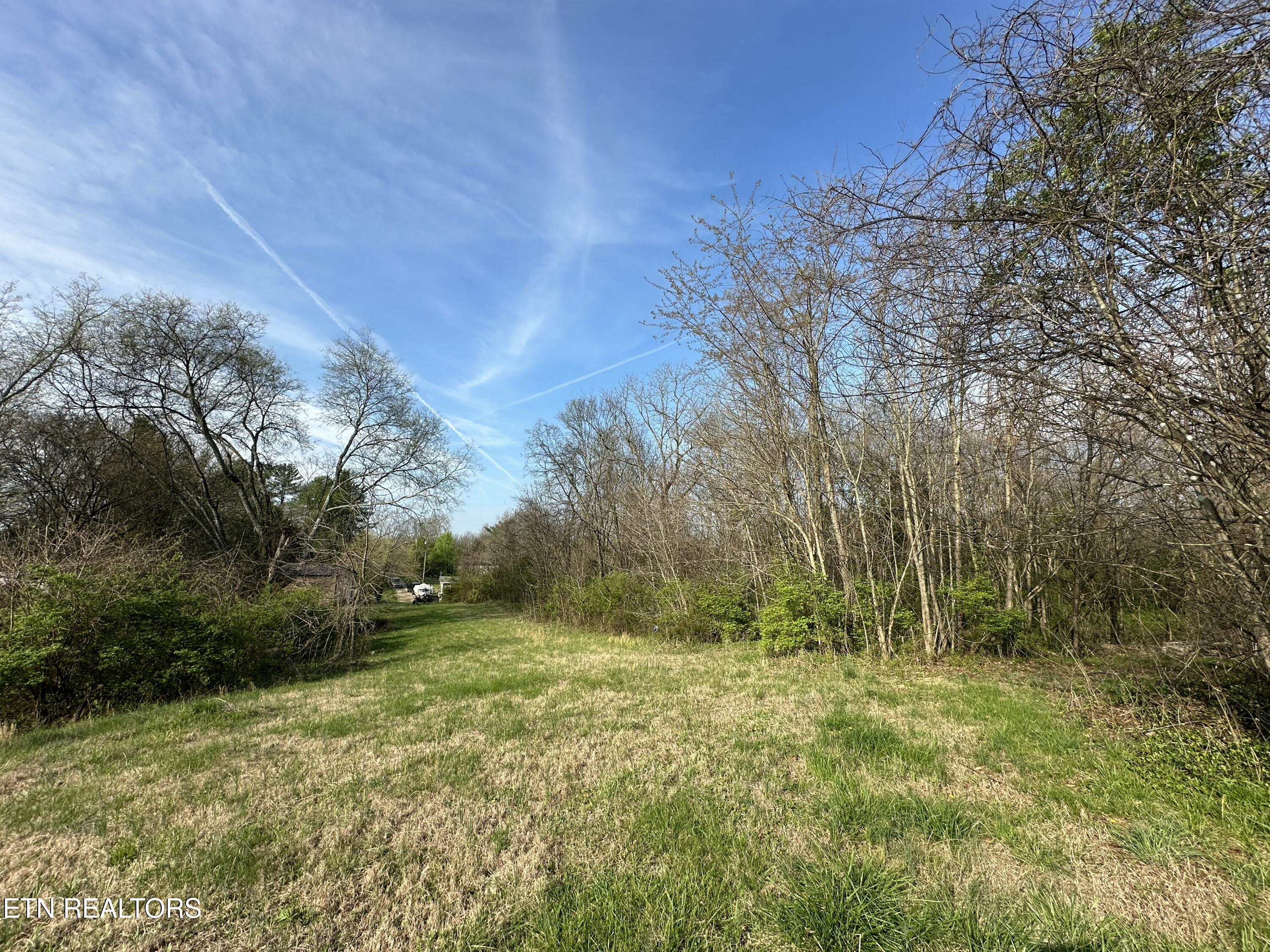 5752 Buell Street Talbott, TN 37877 - Photo 6 of 20 IMG_1846