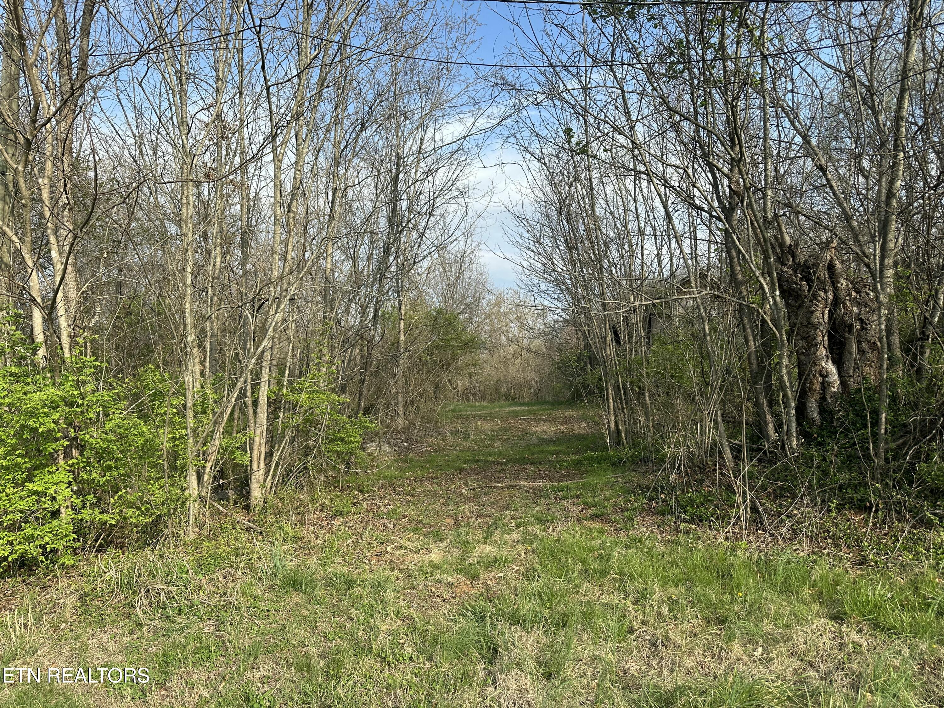 5752 Buell Street Talbott, TN 37877 - Photo 7 of 20 IMG_1848