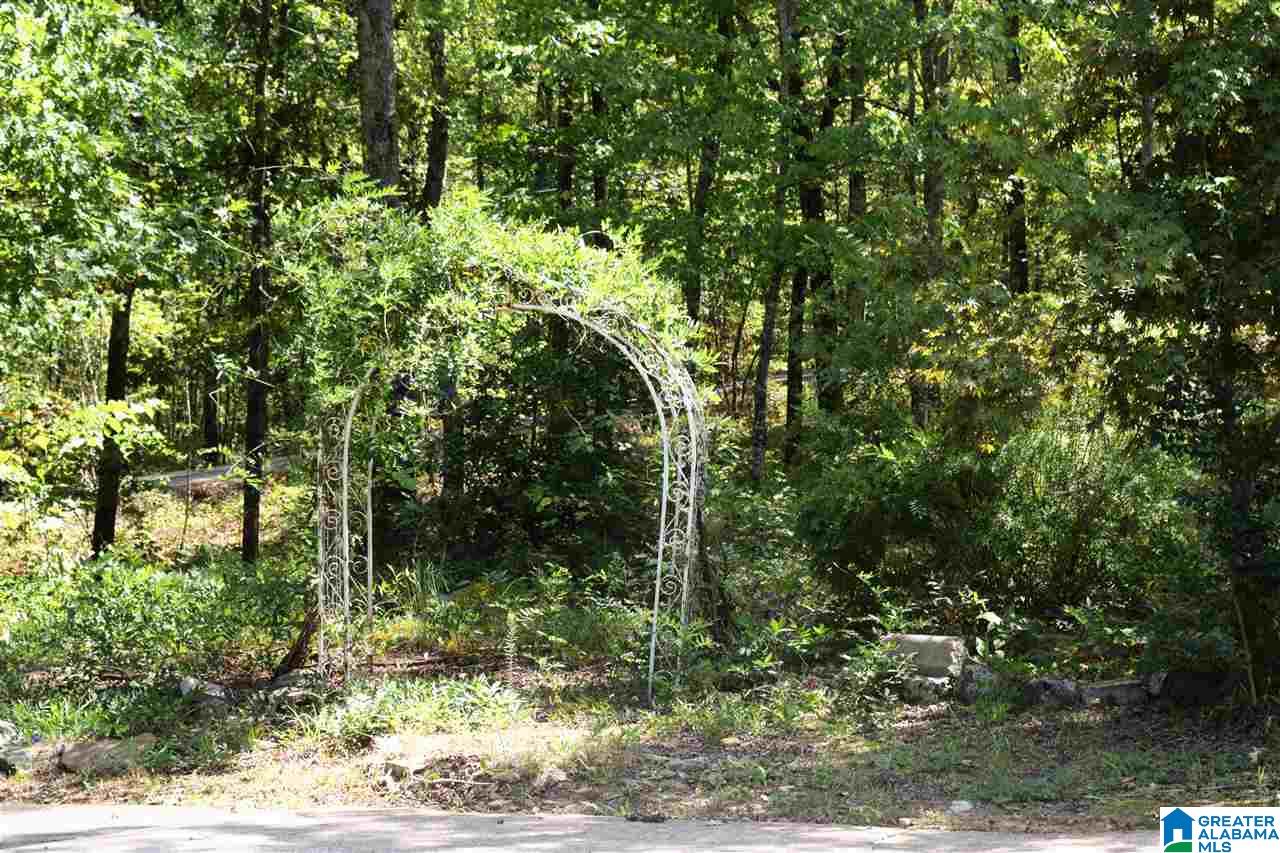 401 Pearl Lake Road Springville, AL 35146 - Photo 42 of 46