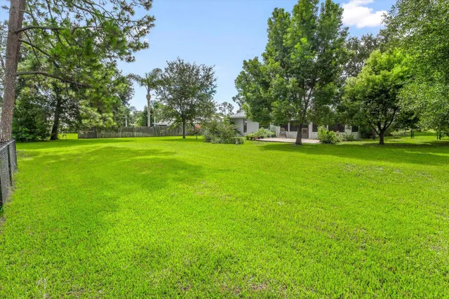 a view of a trees in a yard
