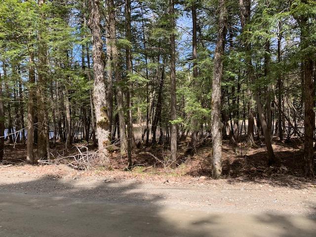 0 Bowerbank Road Dover-Foxcroft, ME 04426 - Photo 8 of 13 IMG_1069