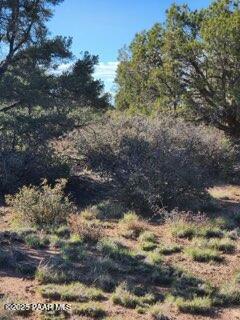 0 West Young Road Prescott, AZ 86305 - Photo 5 of 12 1000002099