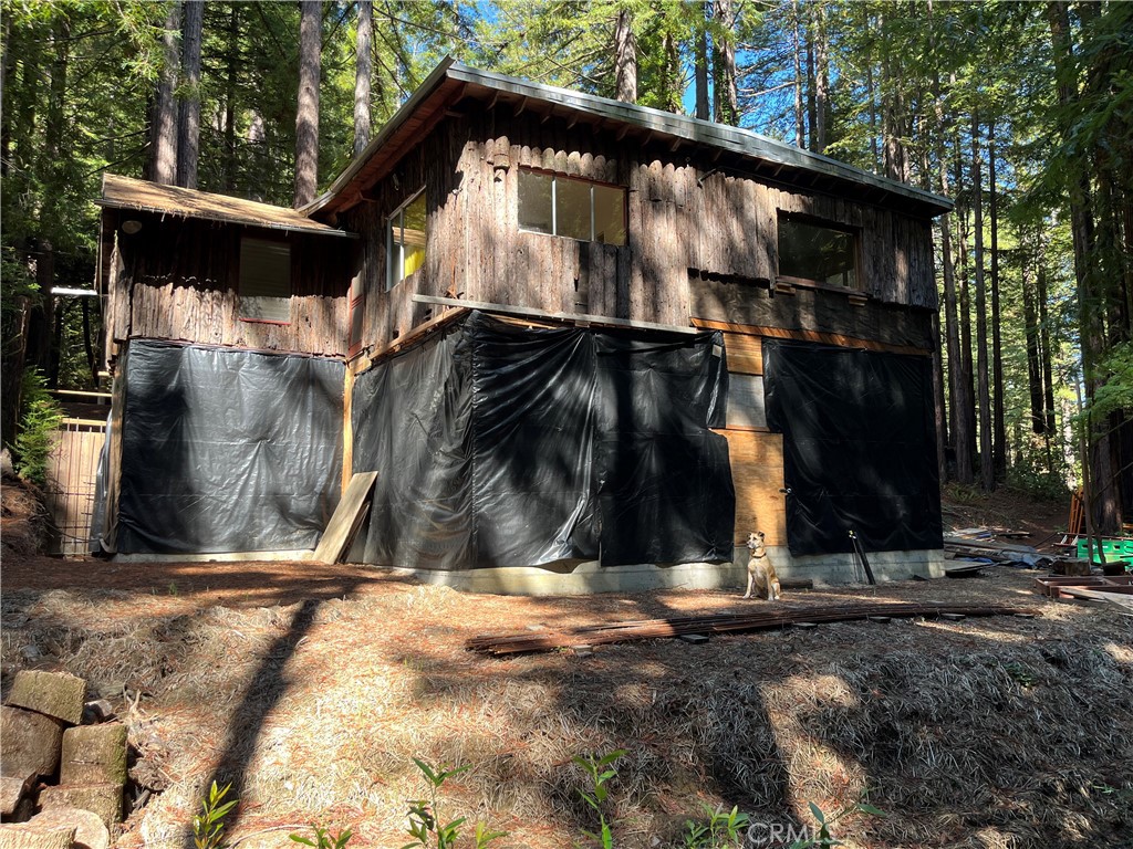 16125 Bittner Road Occidental, CA 95465 - Photo 18 of 40 a view of outdoor space and yard