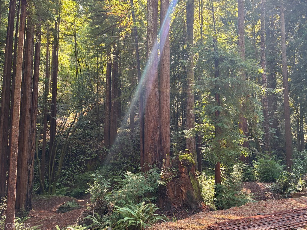 16125 Bittner Road Occidental, CA 95465 - Photo 2 of 40 a view of a garden