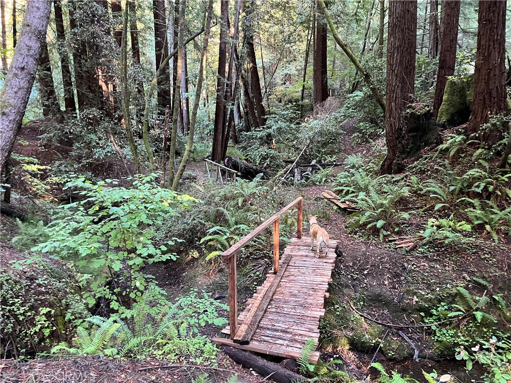 16125 Bittner Road Occidental, CA 95465 - Photo 24 of 40 a view of a garden with wooden stairs
