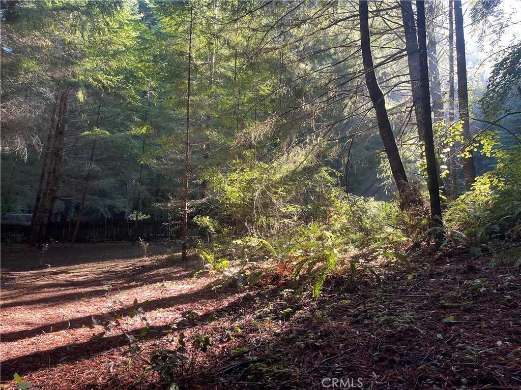16125 Bittner Road Occidental, CA 95465 - Photo 29 of 40 a view of a yard with plants and trees