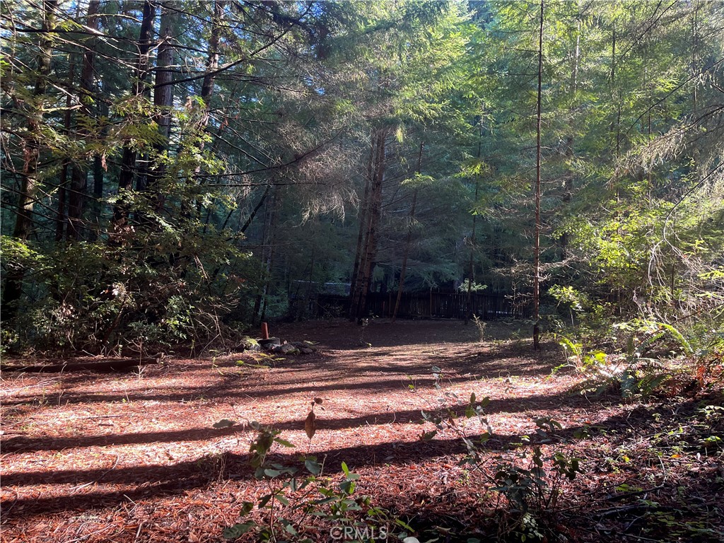16125 Bittner Road Occidental, CA 95465 - Photo 30 of 40 a view of a yard with trees