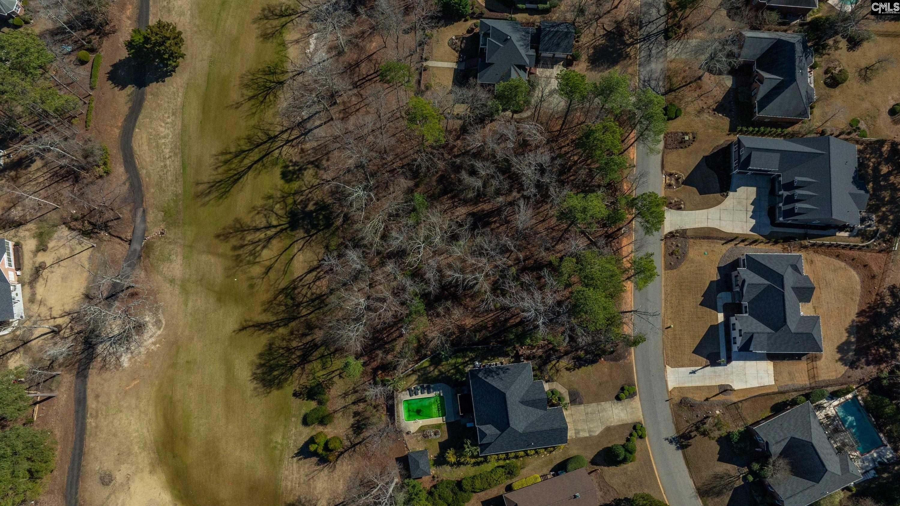 329 Oxenbridge Way Chapin, SC 29036 - Photo 19 of 29