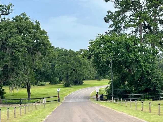 a view of a park with large trees