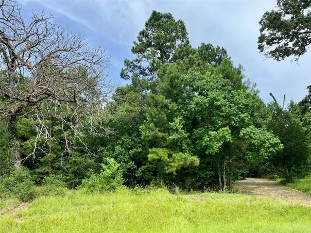 a view of backyard with green space