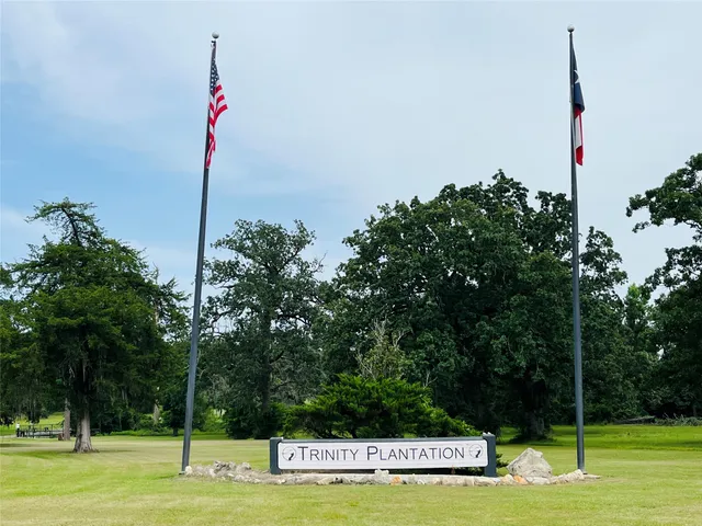 a view of a park with palm trees