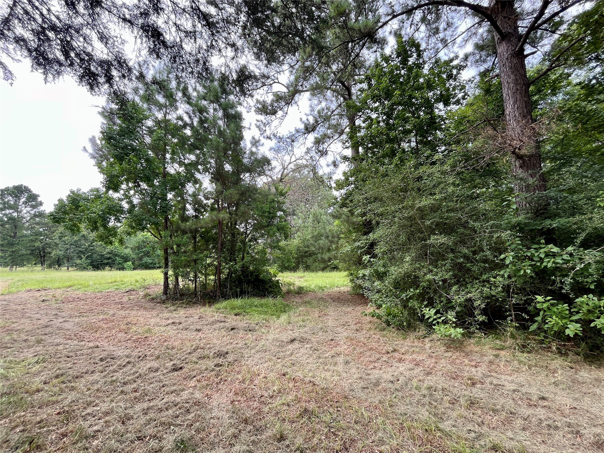 20 Cresent Farm Lane Trinity, TX 75862 - Photo 9 of 12 a view of an outdoor space with a lake view
