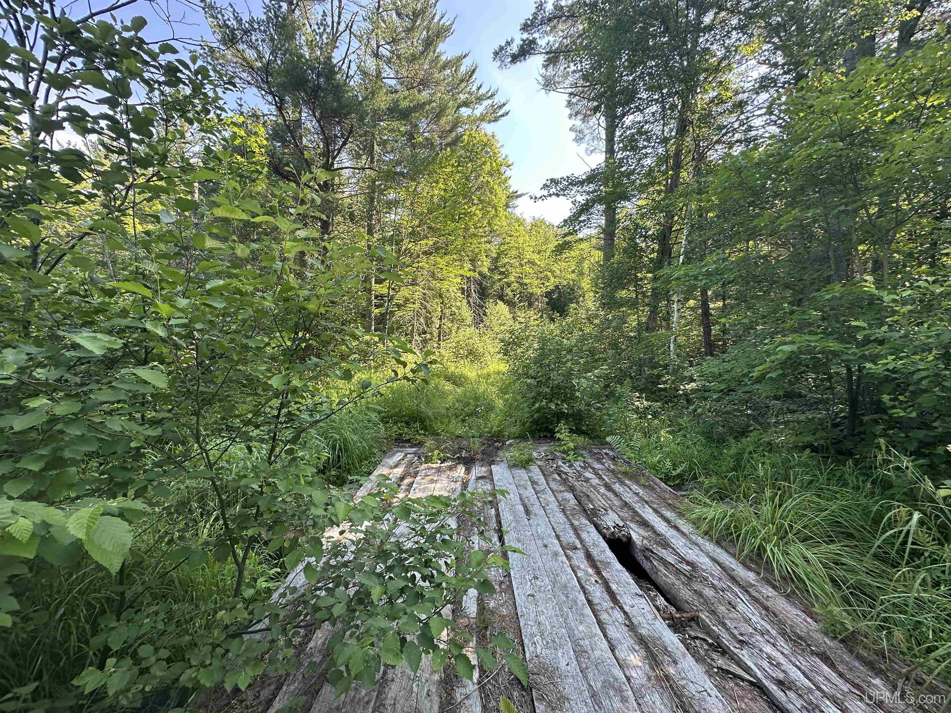 Off Indian Lake Road Michigamme, MI 49861 - Photo 4 of 9