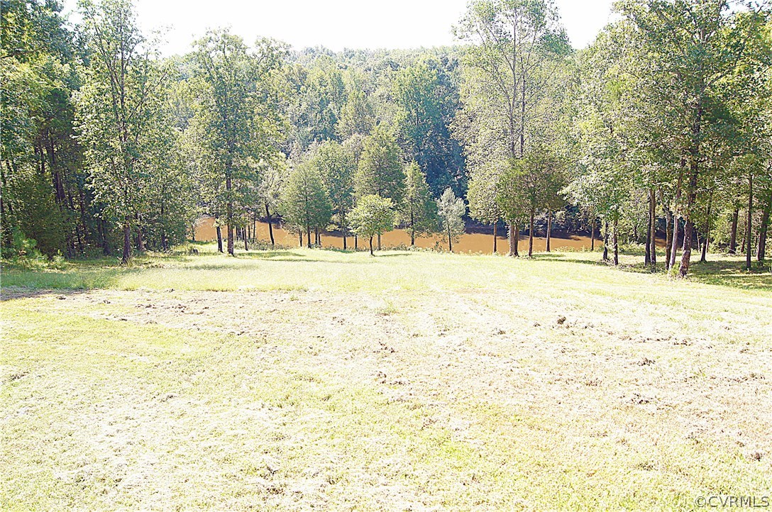 11103 Locust Ridge Place Ashland, VA 23005 - Photo 42 of 50 View from the house is picturesque.
