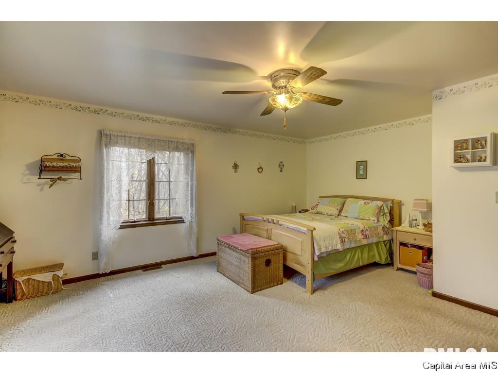 3971 Bison Trail Rochester, IL 62563 - Photo 16 of 33
