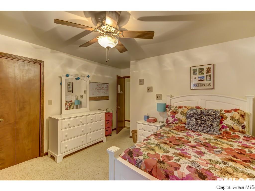 3971 Bison Trail Rochester, IL 62563 - Photo 17 of 33