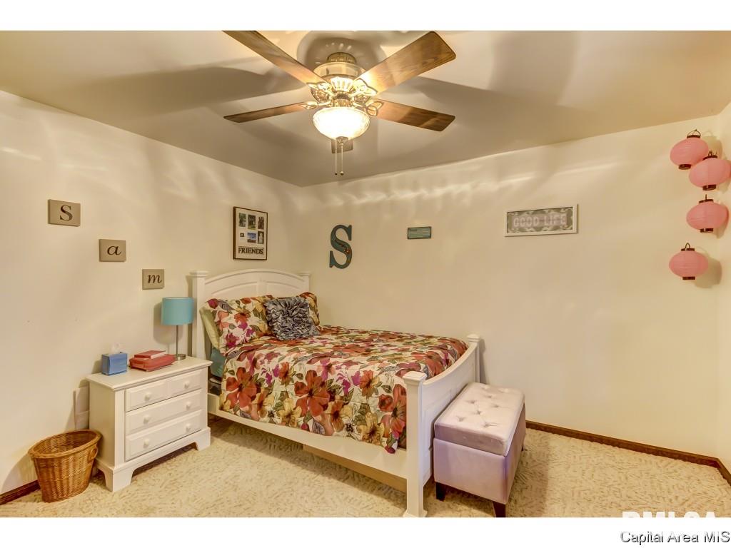 3971 Bison Trail Rochester, IL 62563 - Photo 18 of 33