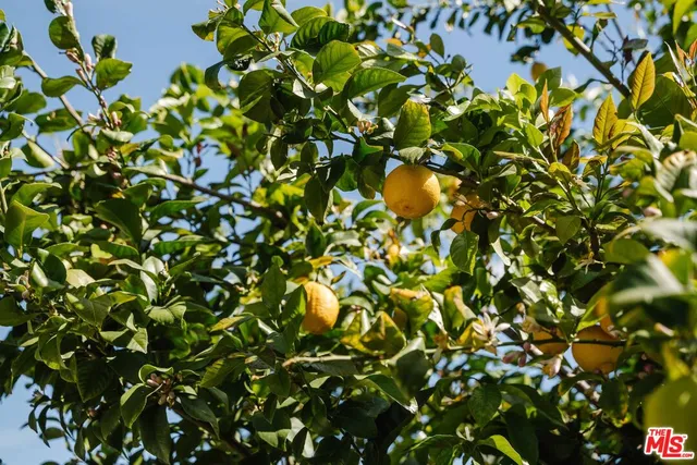 $6,750 | 5400 Sadring Avenue, Woodland Hills, CA 91367