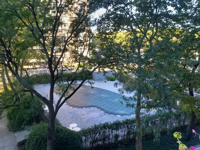 a view of a tree in a yard