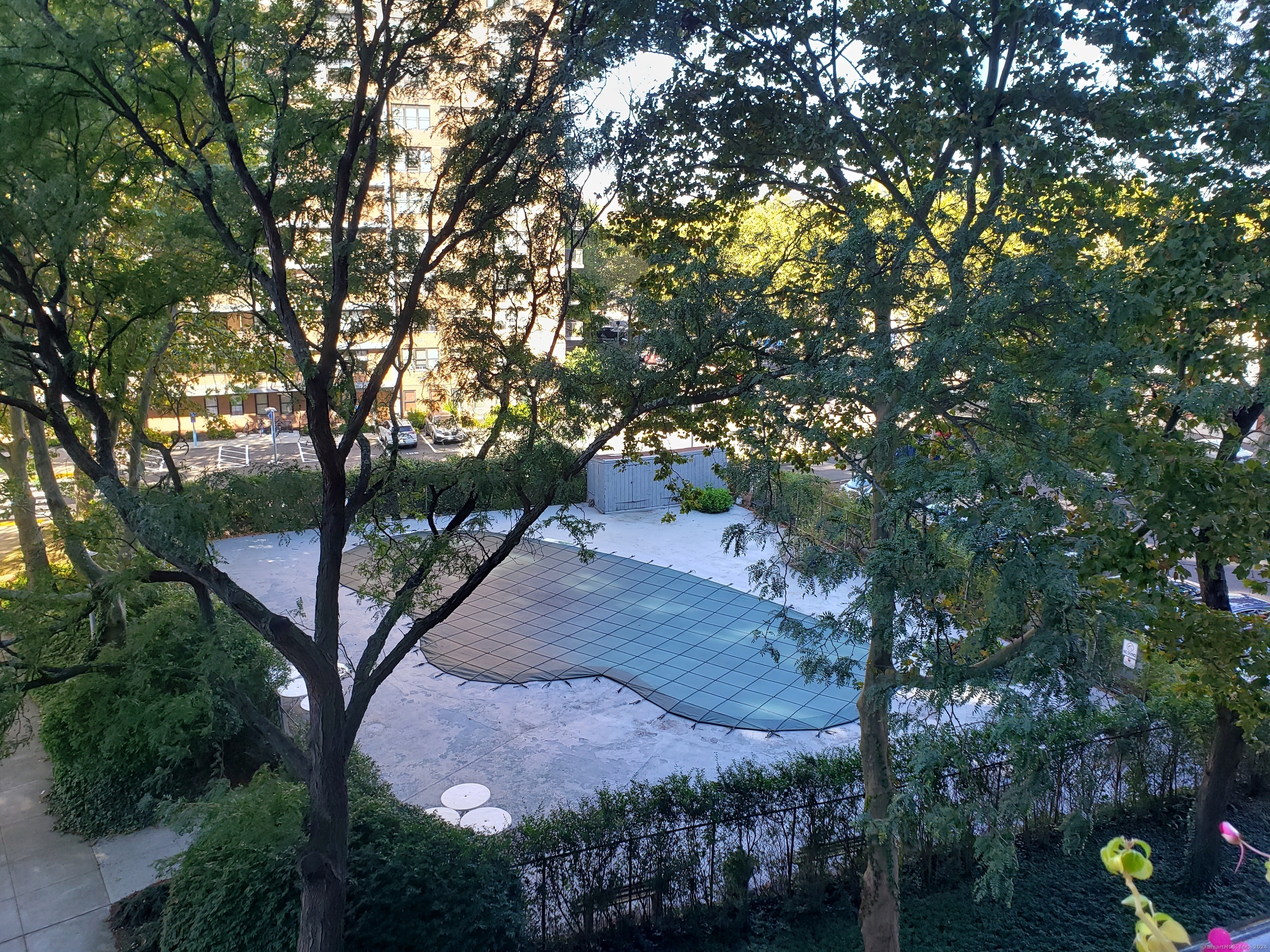 100 York Street, Unit 9B New Haven, CT 06511 - Photo 8 of 17 a view of a tree in a yard
