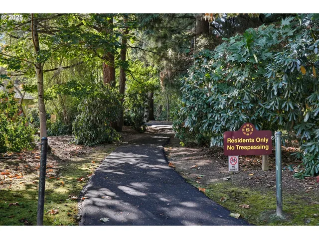 a view of a park with large trees