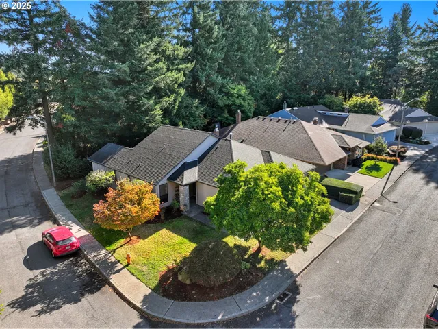 a view of a backyard with table and chairs potted plants with large tree