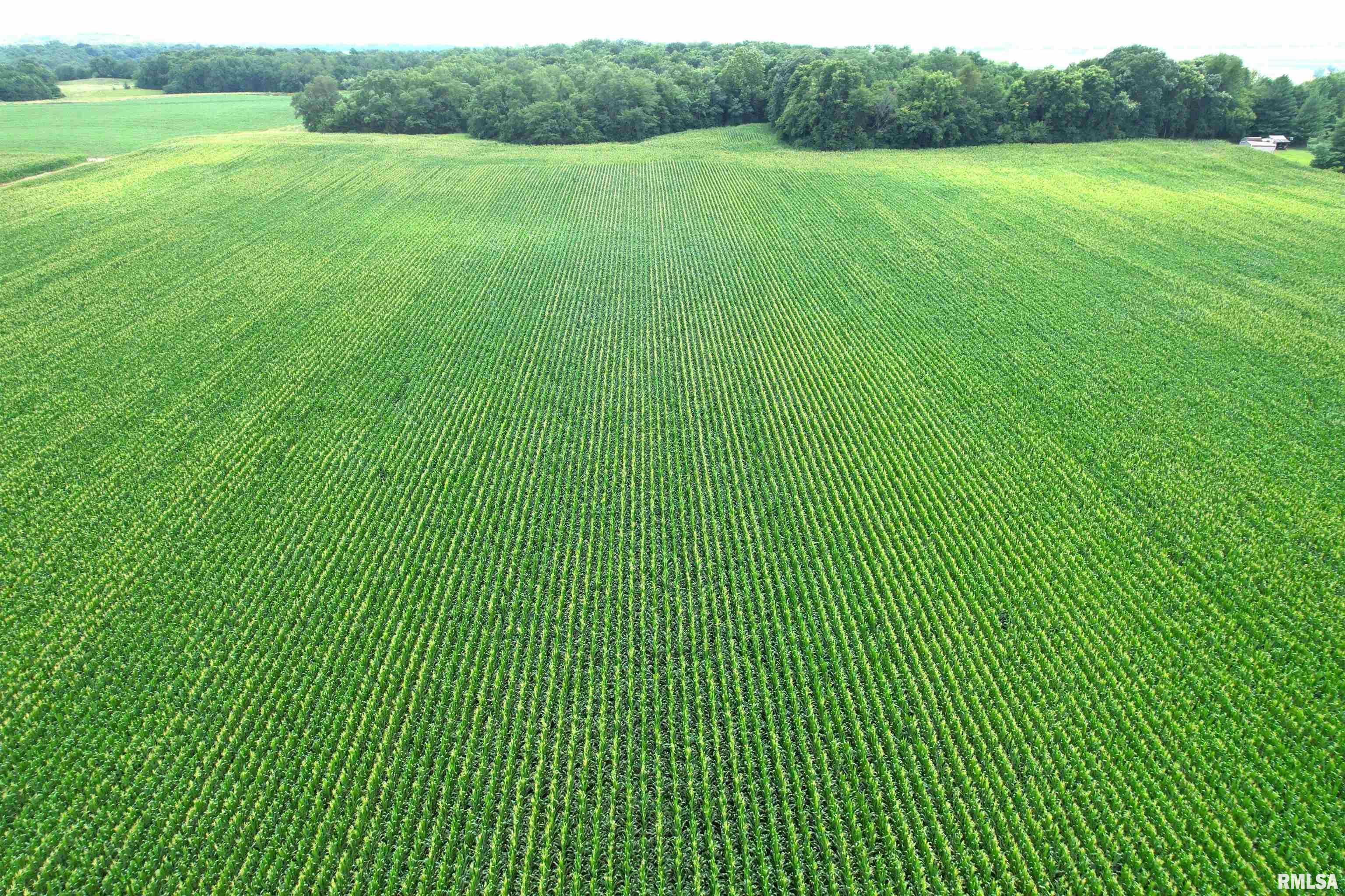 Mcglaughlin Road Winchester, IL 62694 - Photo 24 of 57 Gallery Image 24