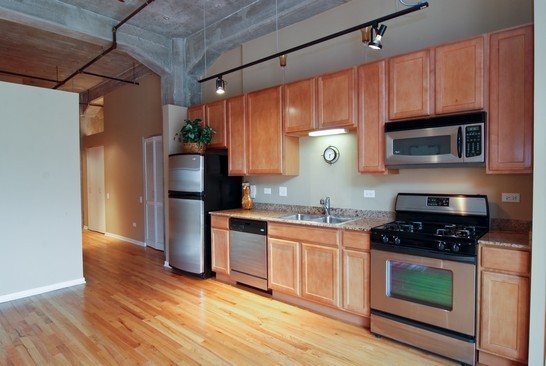 210 South Desplaines Street, Unit 302 Chicago, IL 60661 - Photo 3 of 8