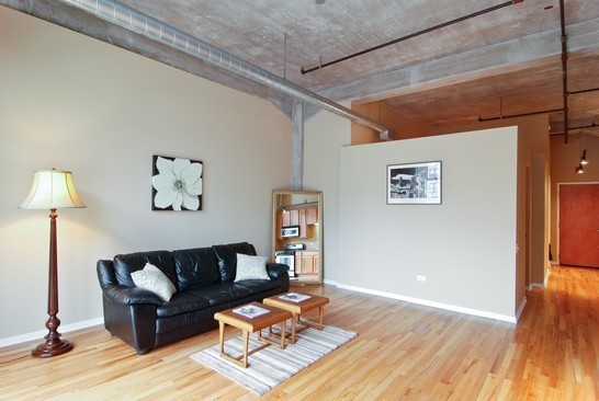 210 South Desplaines Street, Unit 302 Chicago, IL 60661 - Photo 4 of 8