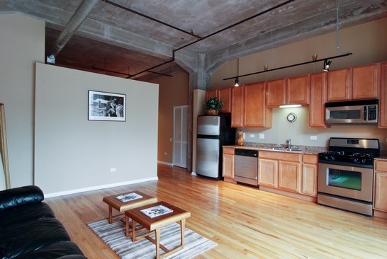 210 South Desplaines Street, Unit 302 Chicago, IL 60661 - Photo 5 of 8