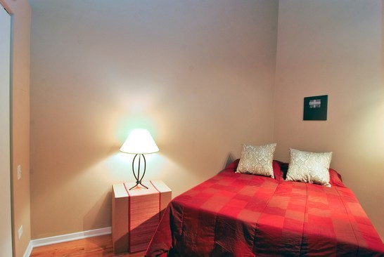 210 South Desplaines Street, Unit 302 Chicago, IL 60661 - Photo 6 of 8