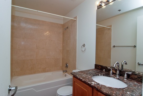 210 South Desplaines Street, Unit 302 Chicago, IL 60661 - Photo 7 of 8
