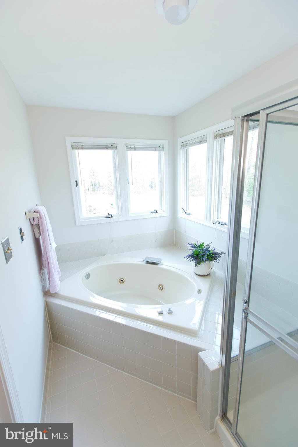 3713 Beaver Ford Road Woodbridge, VA 22192 - Photo 22 of 30 Jetted corner tub and separate shower.